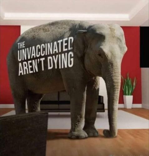 Screenshot_20221001_195224