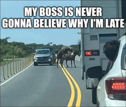 my boss isnt goiong to believe why i am late