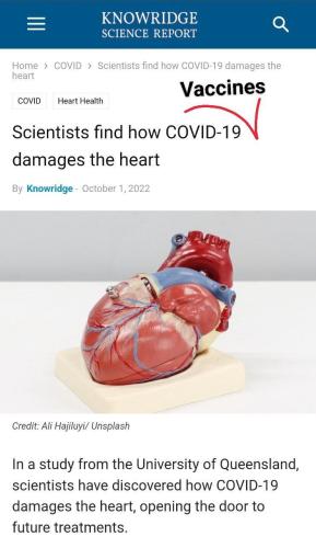 photo_2022-10-02_00-10-40 Scientists find how C19 Vaccine damages the heart