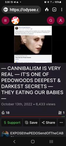 Screenshot_20221015-173013_DuckDuckGo