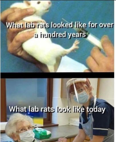 Screenshot_20221001_013041