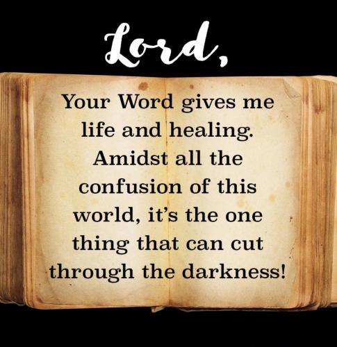 22255049_726549330868947_3210261184282506488_o