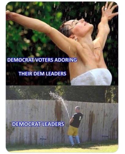 Dems 1