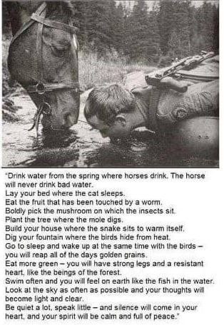 20:21:22 GMT-0400 (EDT)