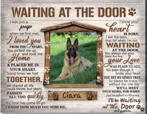 FB_IMG_1662077725594