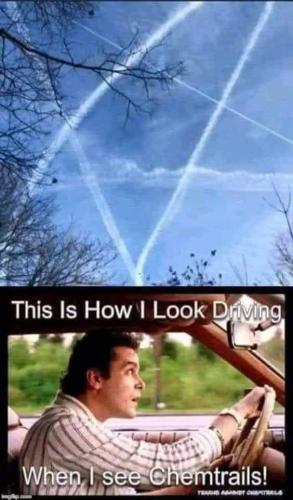 2BB2278B-C47B-4BFD-B767-2894DB15DFDE-27939-00000A9DF403C242