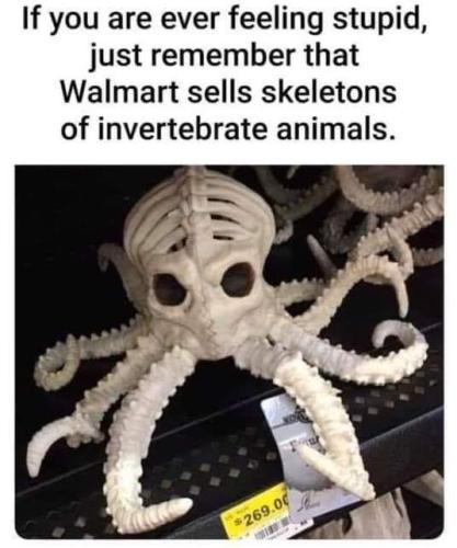 FB_IMG_1666382224580