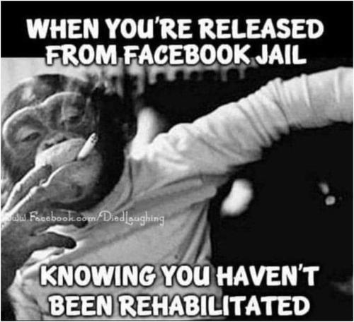FB_IMG_1666380201955