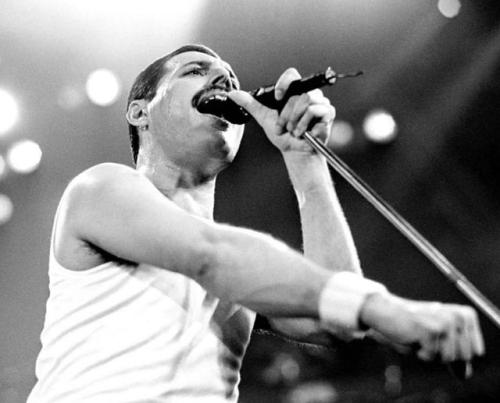 311118292_676032953888257_4920526455072810606_n