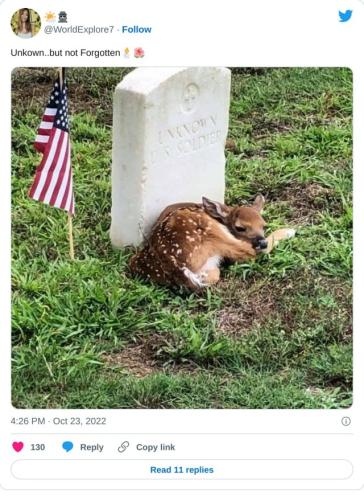 tumblr_f9e985e744ac7a158e5ce3868ea9d4e6_5db2b839_640