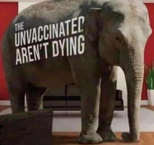 312170862_2910516169252039_12837615333700019_n