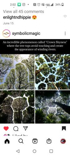 Screenshot_2022-10-26-14-02-58-66_1c337646f29875672b5a61192b9010f9