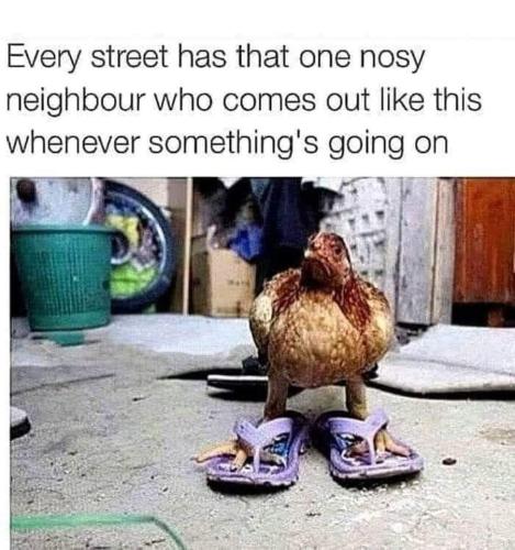 FB_IMG_1665618185058