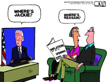 sk100122dAPC-375x275