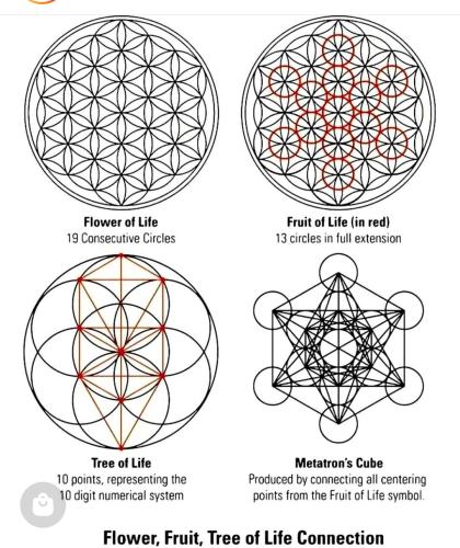 Screenshot_2022-10-26-13-23-25-49_1c337646f29875672b5a61192b9010f9