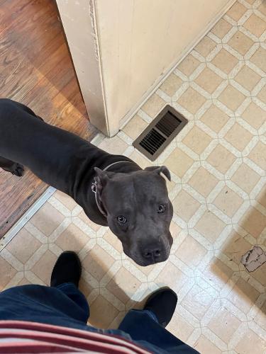 308355157_823001479125550_4371354203030851579_n