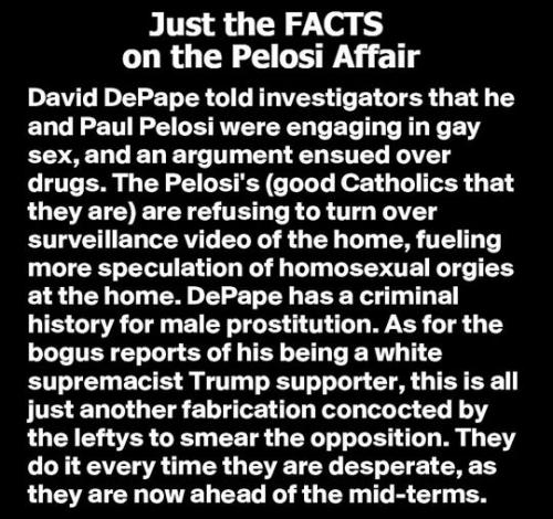 paul pelosi08