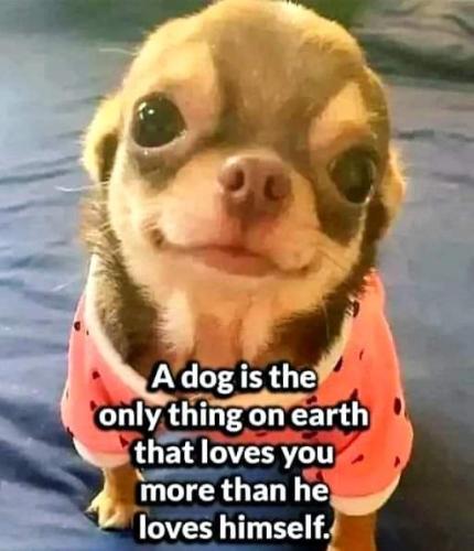 FB_IMG_1665733380319