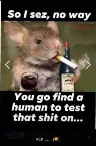 FB_IMG_1665154811085