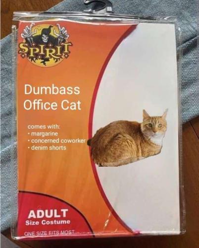 00072ce9-6158-4c18-b608-dd3c07f61a95