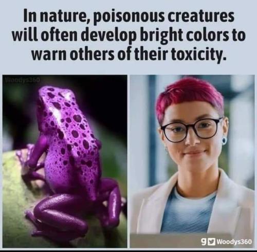 FB_IMG_1666273543614