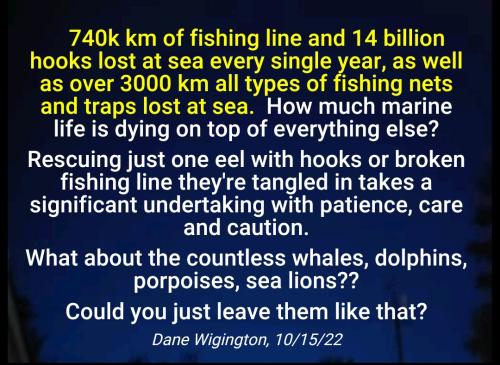 18:01:46 GMT-0400 (EDT)