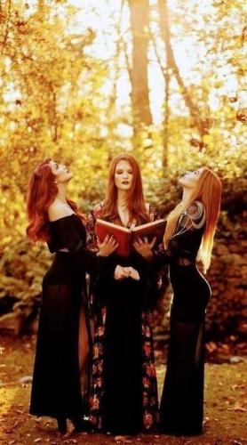 tumblr_40a3efd1fc80ba5f745d5fdae98d6c43_62940cfd_500