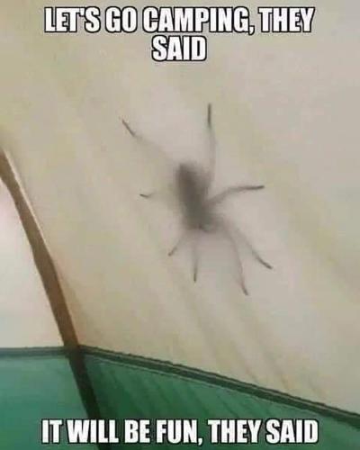 FB_IMG_1666706423736