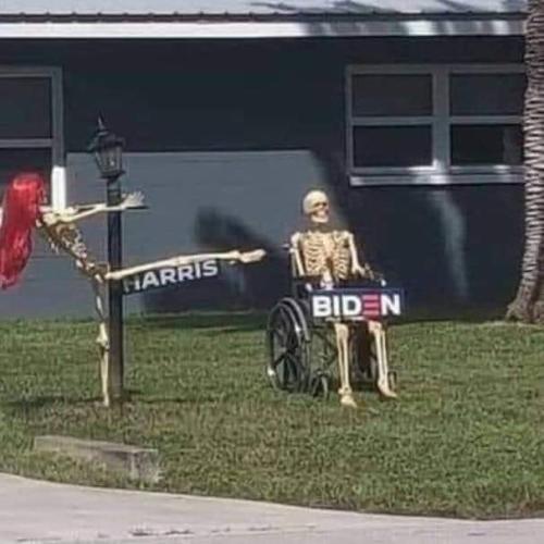 FB_IMG_1666630131387