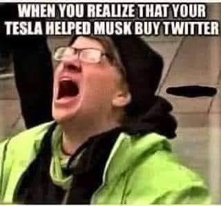 telsa_helped_elon