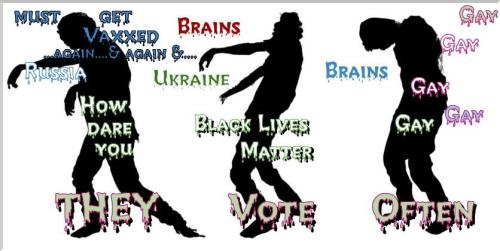 xephula_843f107465d00a1d0135aaaa406669b0