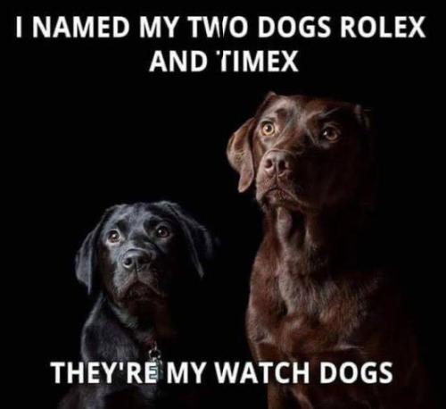 311706704_115603281312692_8193639041782200125_n