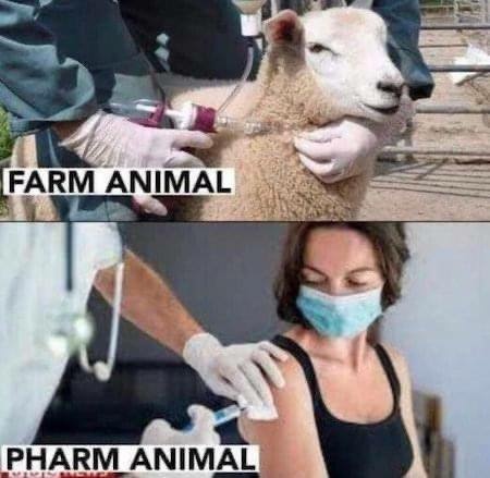 927a3117-c174-4eac-bbab-27eebba66ef0