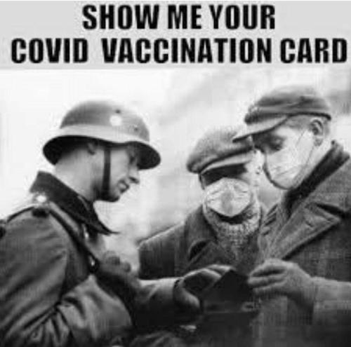 FB_IMG_1665964534164