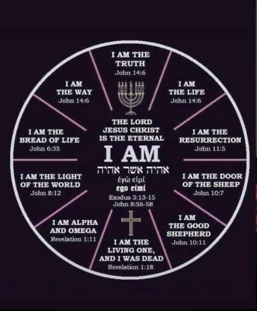 FB_IMG_1651438196338