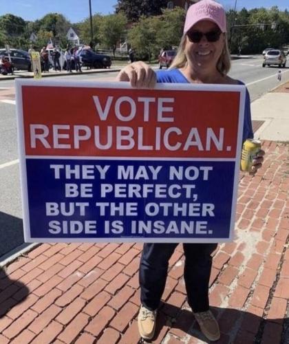 Voting is your voice 1