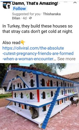 14:09:33 GMT-0400 (EDT)