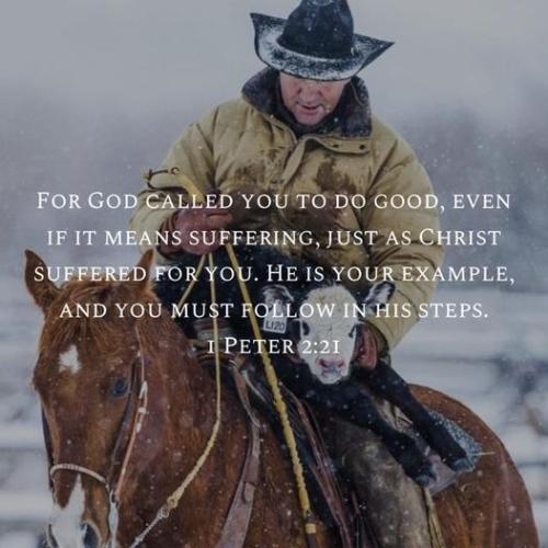 Facebook covered image