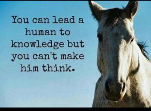 5e00641d-53d8-4308-8058-ac33a9d6c0f0