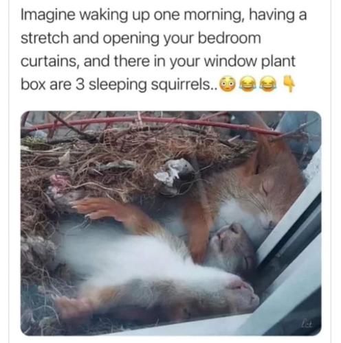 FB_IMG_1666565632716