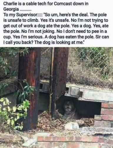 311878291_116293337910353_1731250822915759426_n