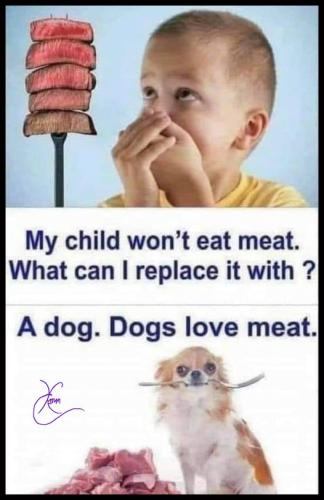 307885152_410418884573259_4347317770096666310_n