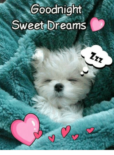 goodnight-sweet-dreams-38903772