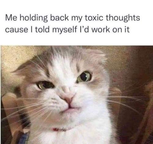 FB_IMG_1665082933128