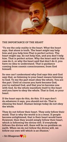 ,                                                                                                                                                                                                                          0 g