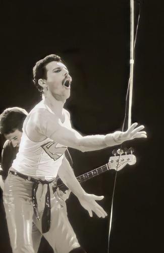 312490865_551760700284201_6105908596427556538_n