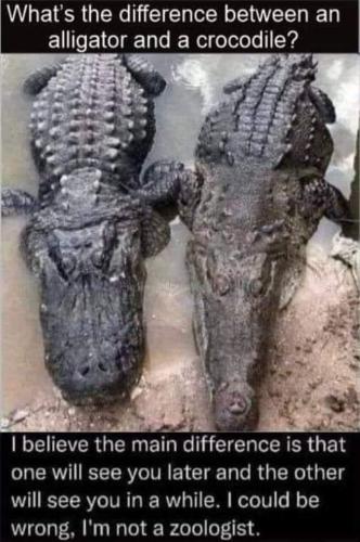 e82cca5b-ef8b-4259-99eb-10700382ecee