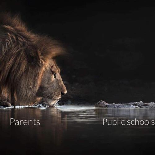 FB_IMG_1666048537930