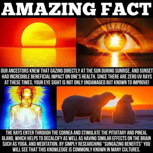 14:08:02 GMT+0200 (CEST)