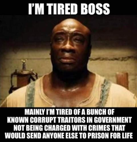 FB_IMG_1665890362300